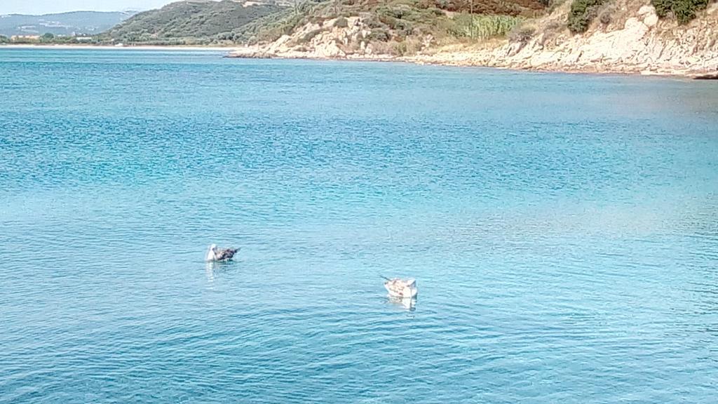 Artemis Stone House Villa Psakoúdia Eksteriør bilde